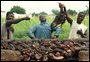 Ghana 038.jpg